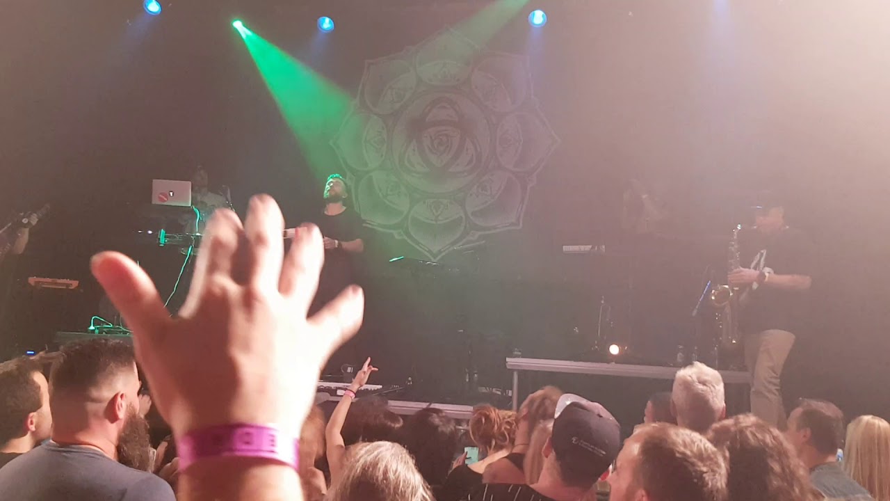 Dub FX & Mr. Woodnote - Interlude LIVE