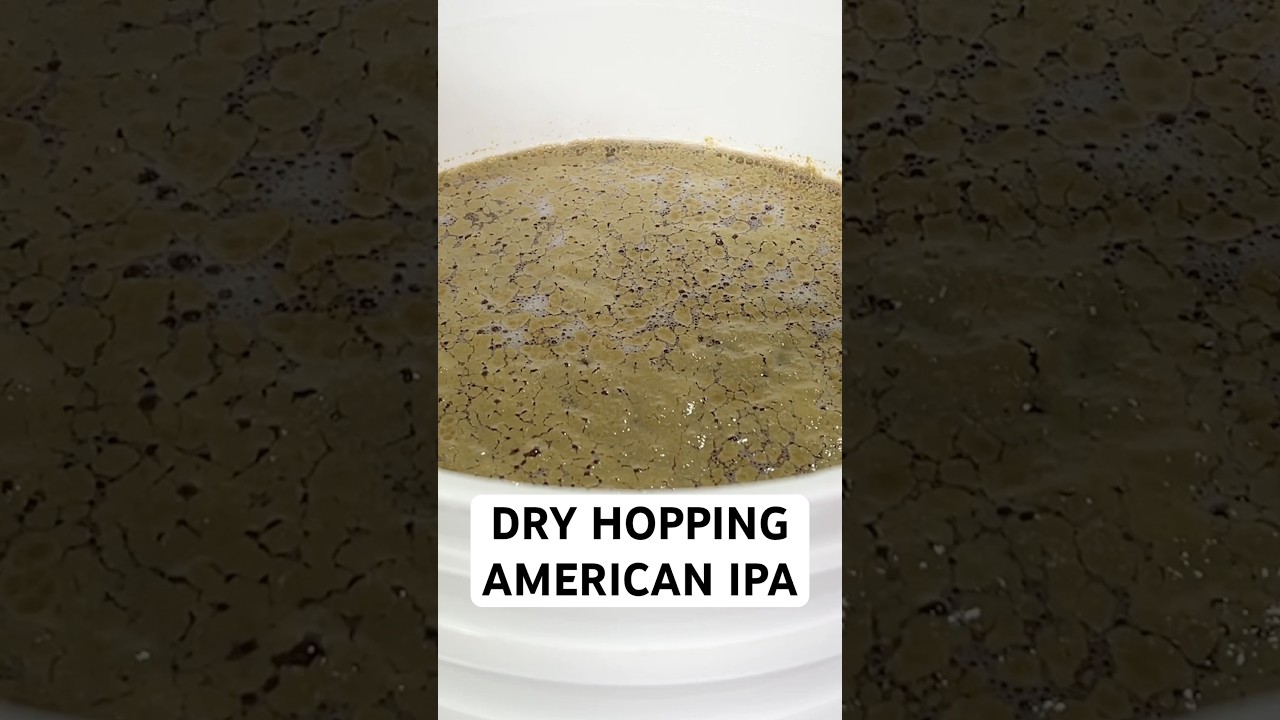 Dry Hopping an America IPA 🍺
