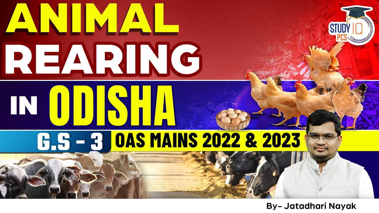 Animal Rearing in Odisha | GS -3 | OAS Mains 2022 & 2023 | OPSC OAS | Jatadhari Nayak | StudyIQ PCS