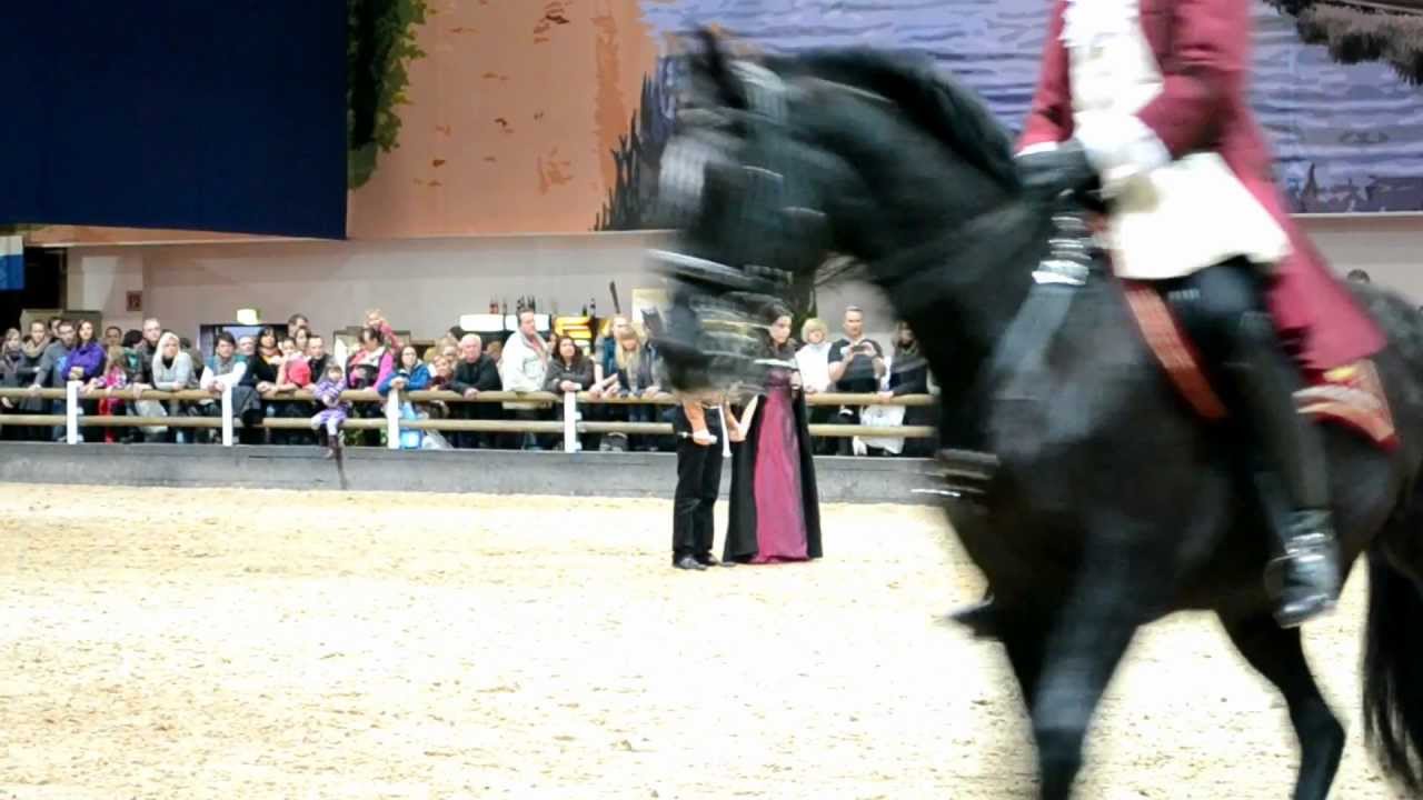 Hippologica Berlin 2012 - Showprogramm
