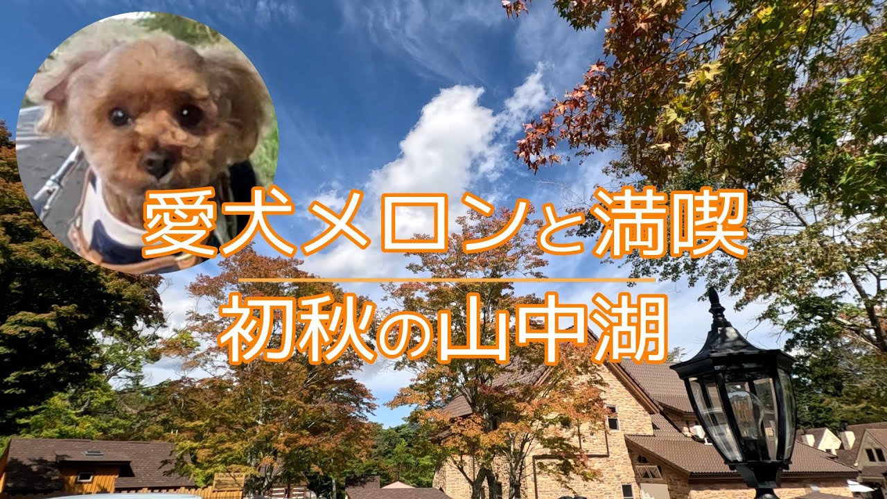 【犬旅山梨】愛犬メロンと満喫　初秋の山中湖≪観光編≫
