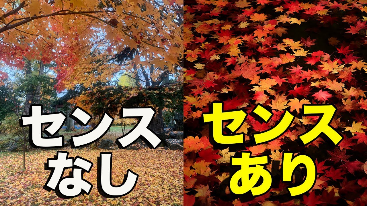 【写真のセンス重要！】写真のセンスを上げる３つのステップ！【写真家】