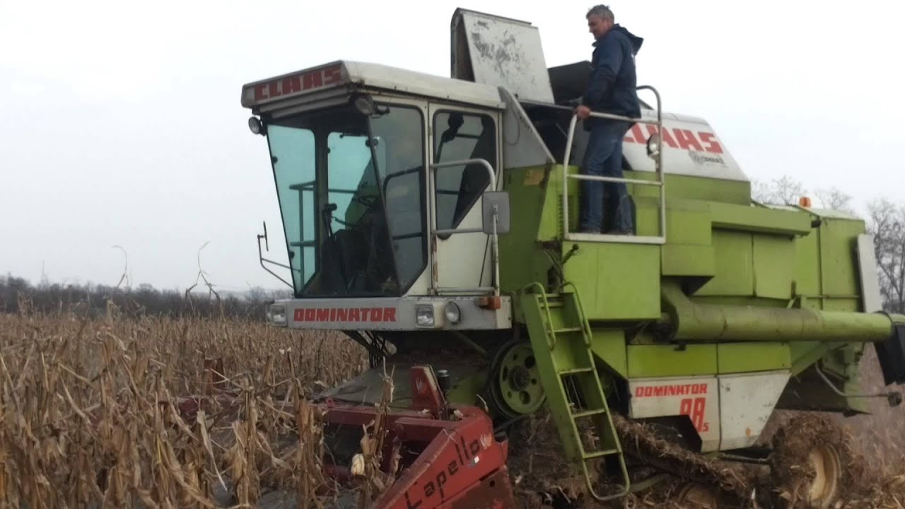 Claas Dominator 88s sa gusenicama i Capello 6 reda vrsaj kukuruza 10  mart 2015 Sovljak-Ub
