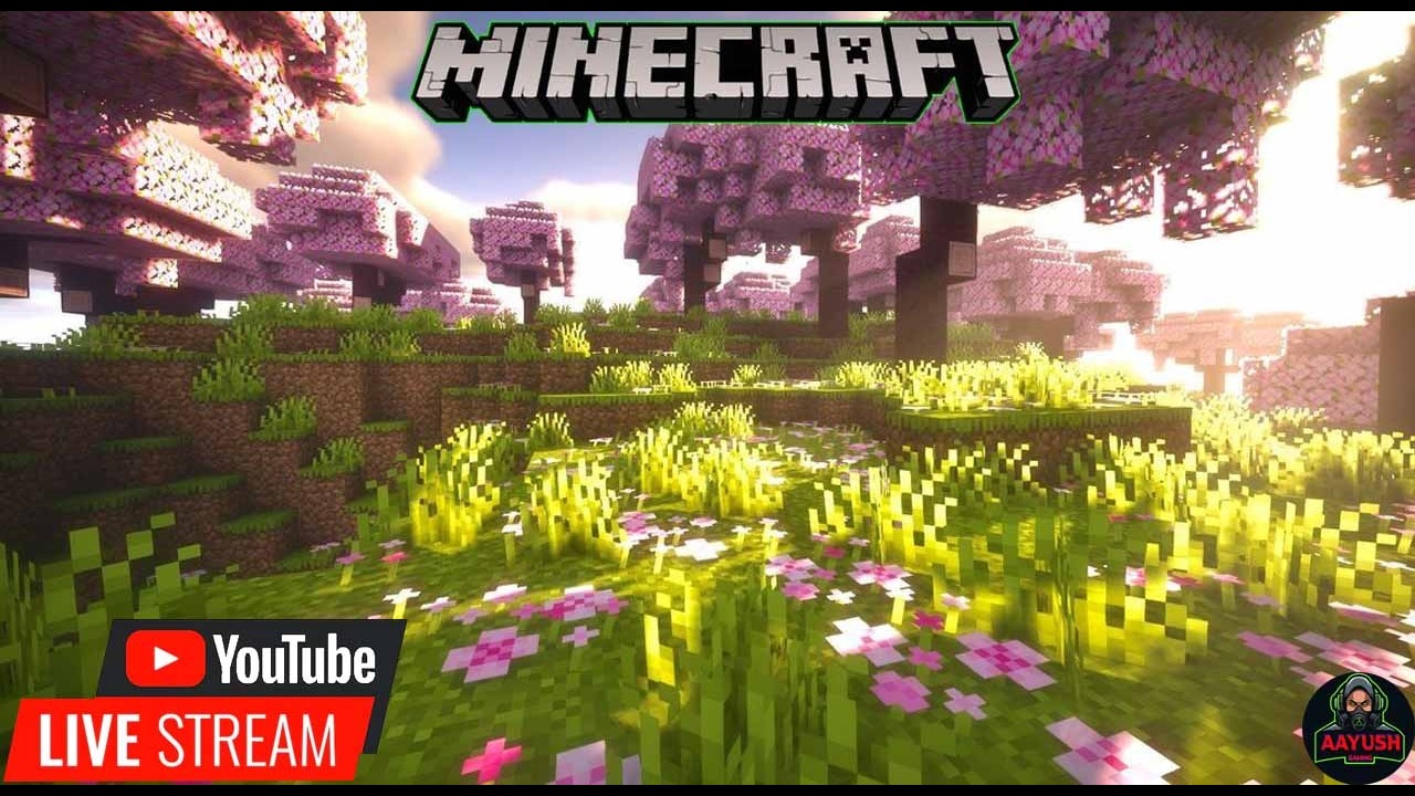 [HINDI + GUJRATI ]  MINECRAFT  LATE NIGHT FUN GAMEPLAY AND MINING DIAMOND !!!!!!!!