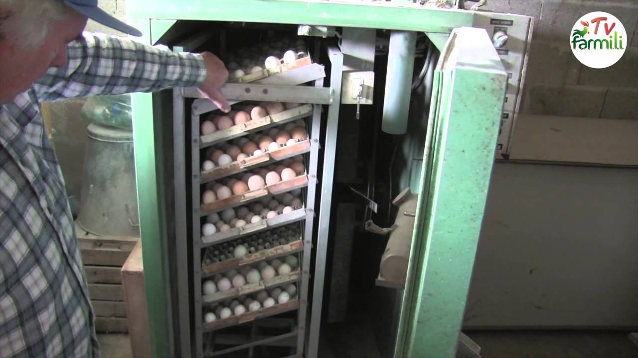 Monsieur Périquet, le grand spécialiste du petit élevage !