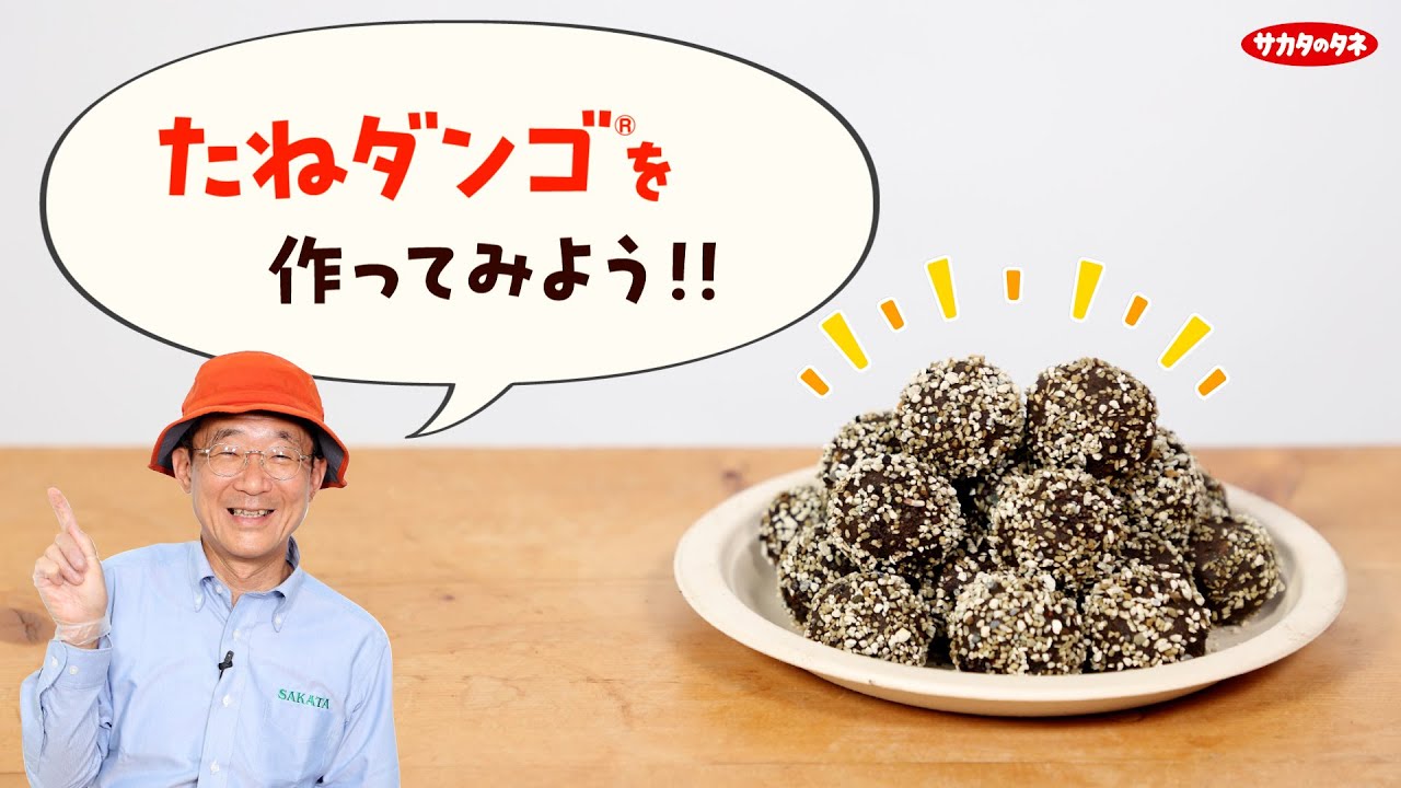 たねダンゴ&reg; を作ってみよう