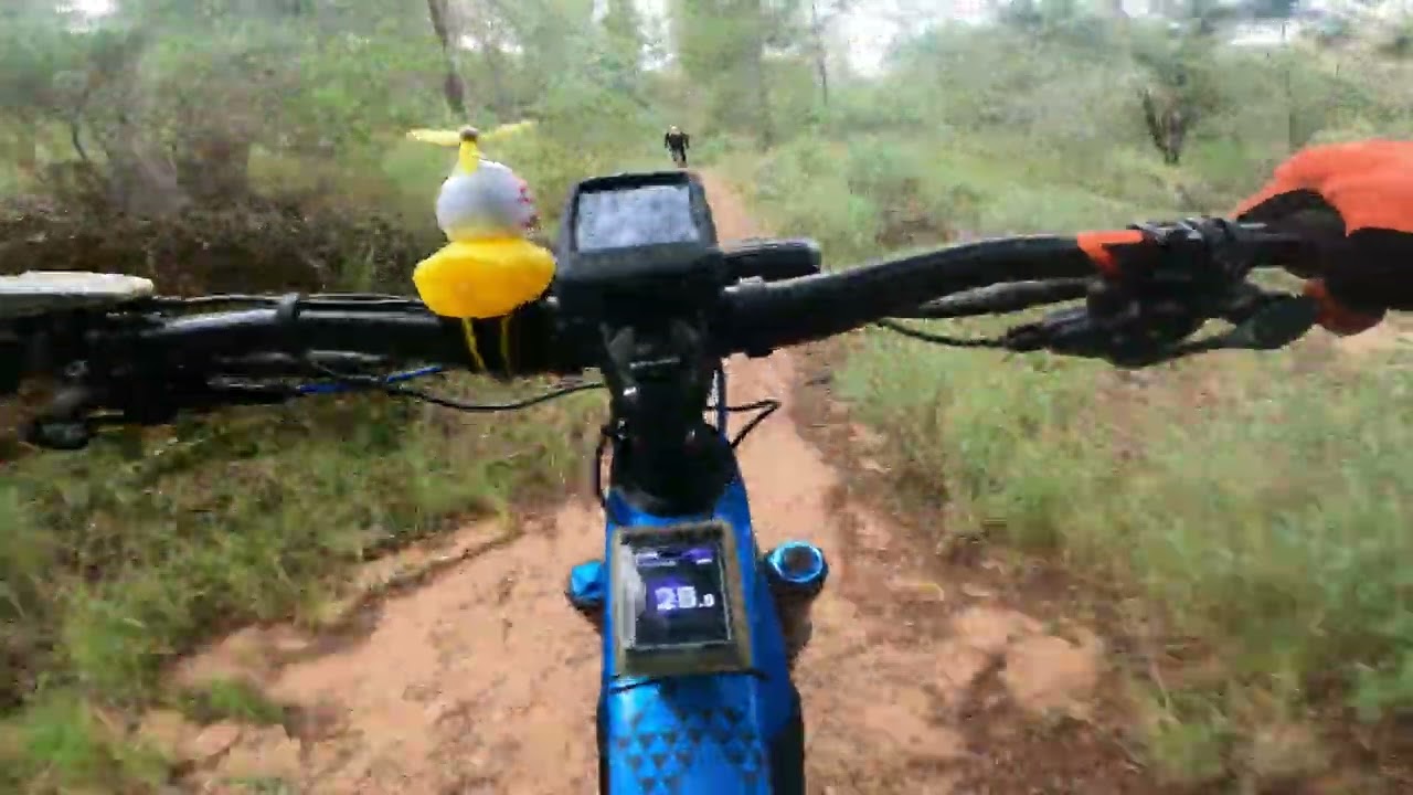 Primera salida del año