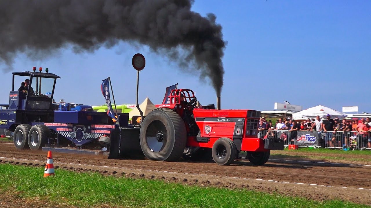 3,5 t Sport Trecker Treck in Sonsbeck 2021