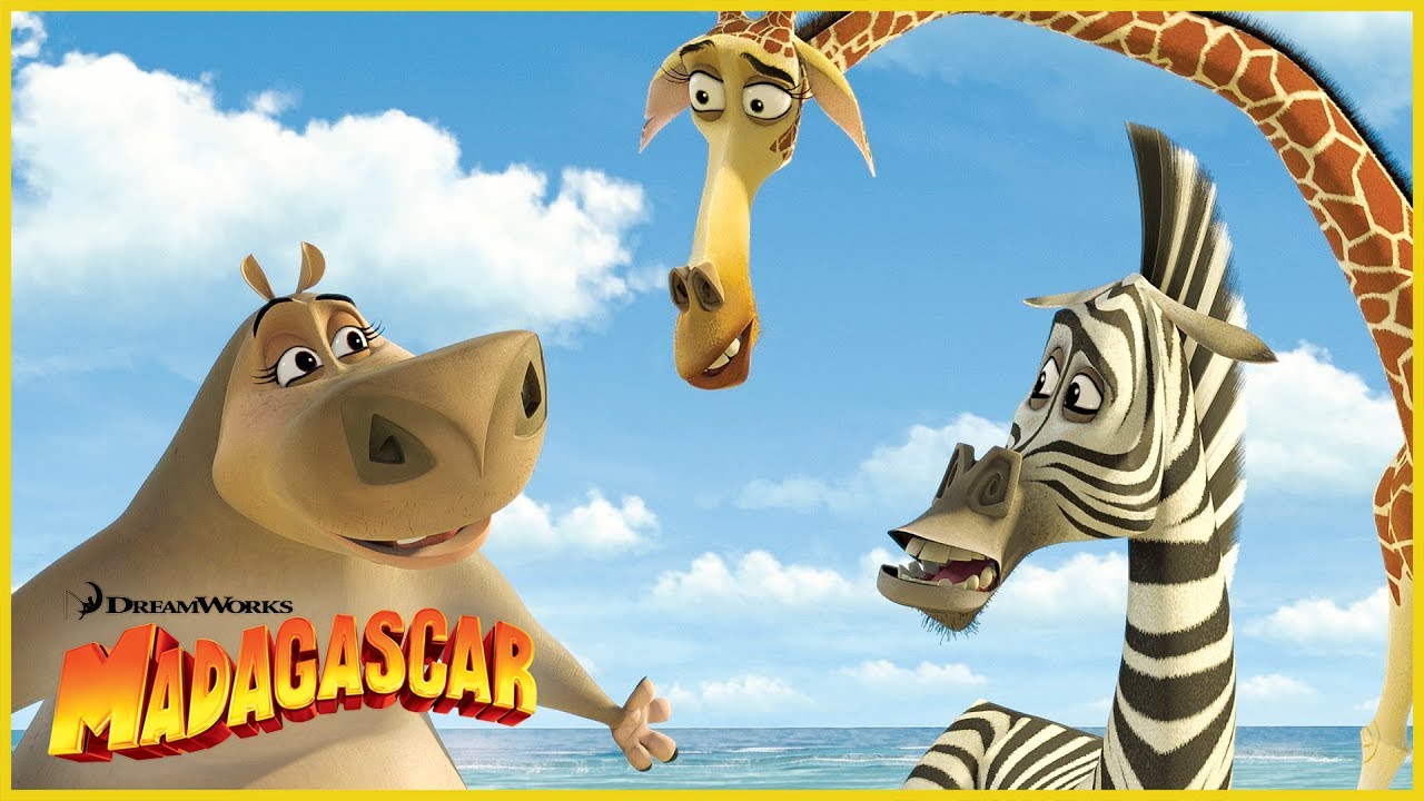 ¡Todo sobre Marty! 🦓✨ | DreamWorks Madagascar en Español Latino