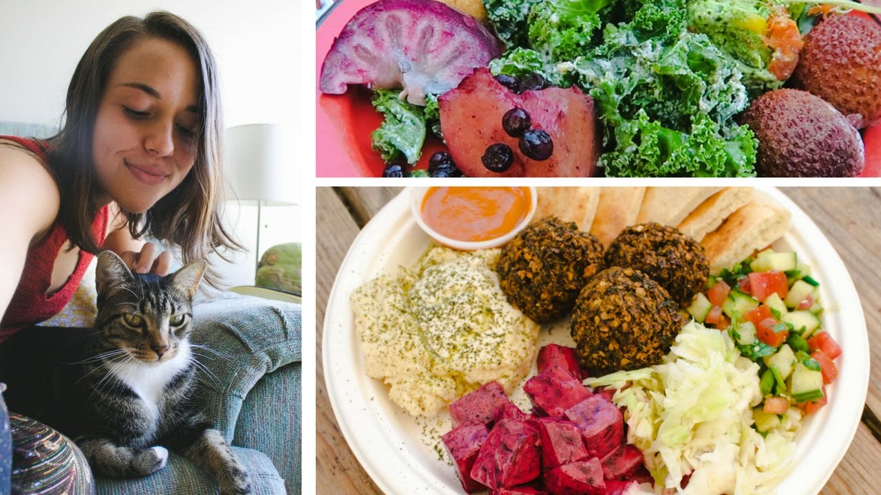 WHAT I ATE & DID TODAY // How to Make Vegan Friends