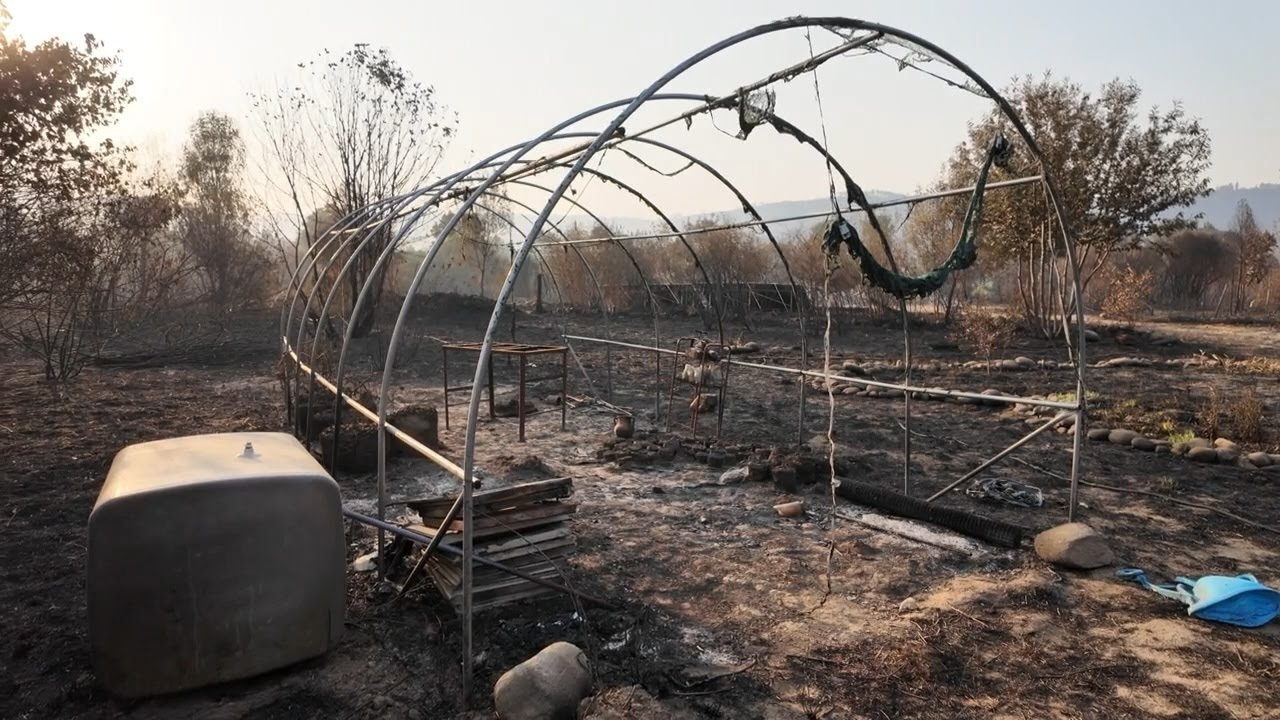 #3 ☄️🧯How This Couple is Rebounding from the Portugal Fires