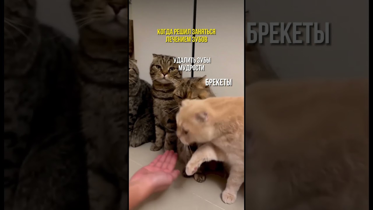 ЗНАКОМО?😅 В стоматологической клинике DSstudio Вас ждут настоящие профессионалы#shorts