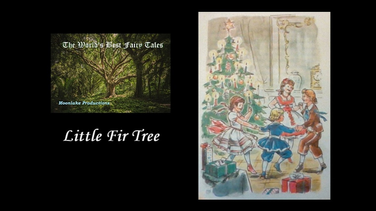 Little Fir Tree