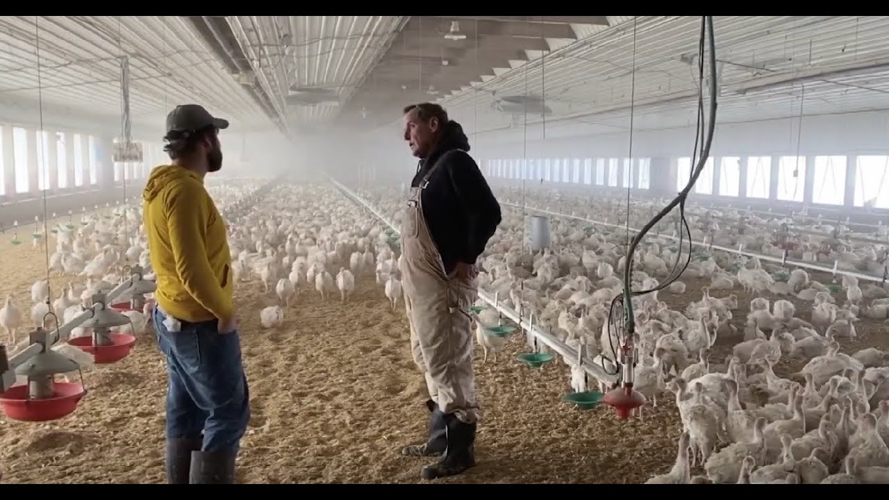 This Week in Agribusiness, Jan. 25, 2025