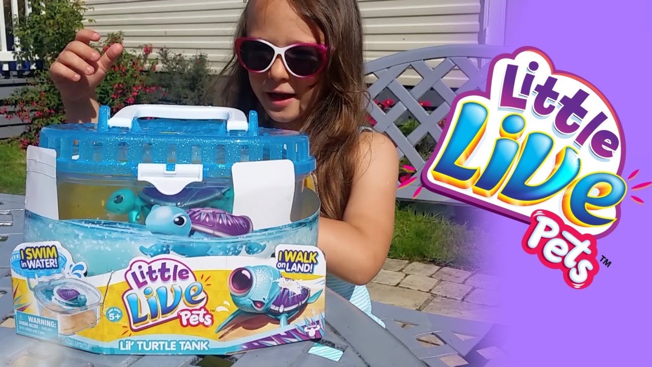 Little Live Pets Lil' Turtle Tank Review