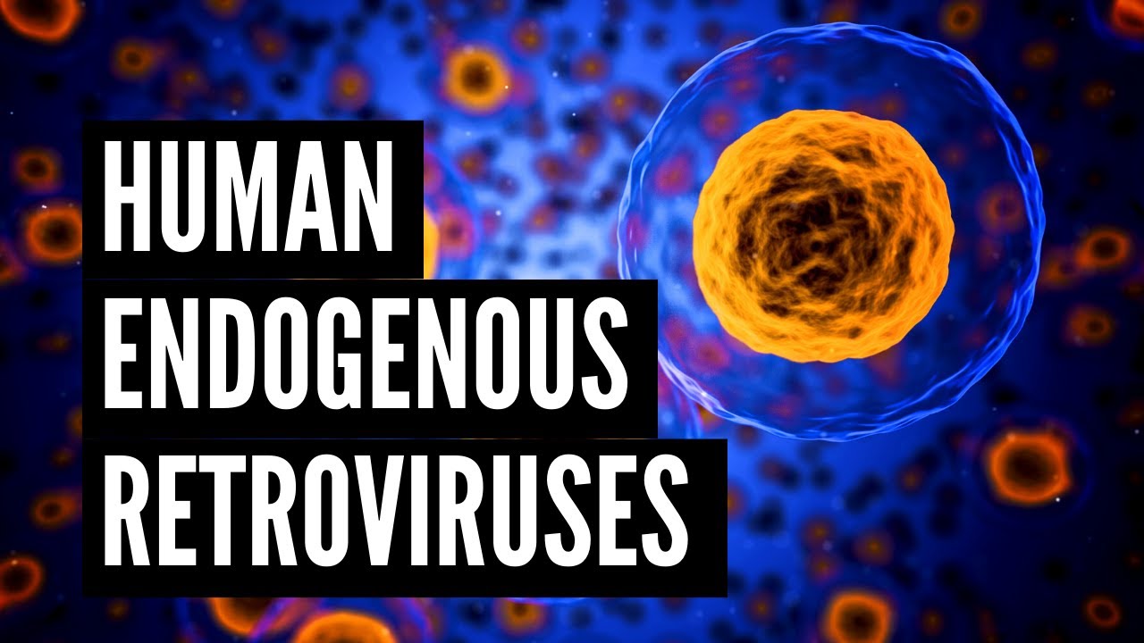 Human Endogenous Retroviruses (HERVs)
