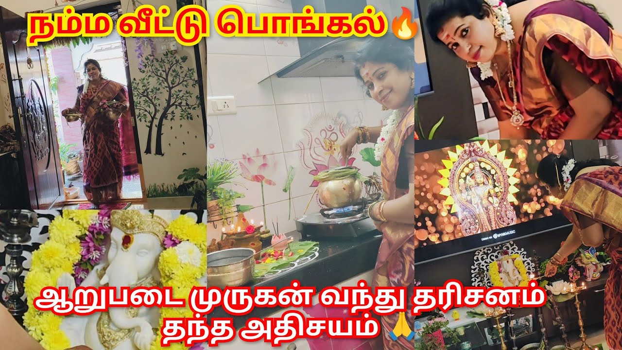 🔥நம்ம வீட்டு பொங்கல் Vlog🥳 | காலையிலே ஆறுபடை முருகன் வந்து காட்சி கொடுத்த அதிசயம்🙏 #vlog 