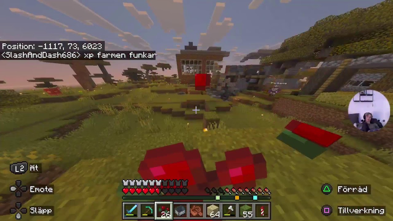 Minecraft stream