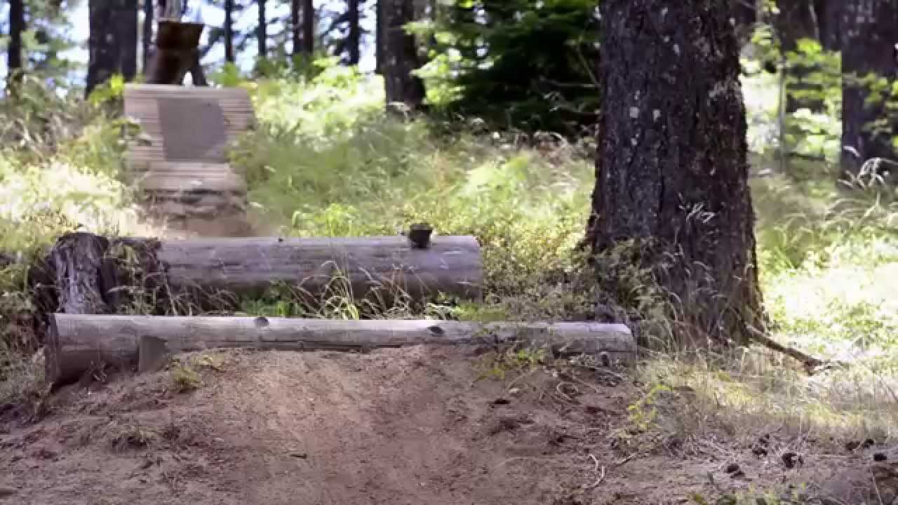 Lily Shred 2.0