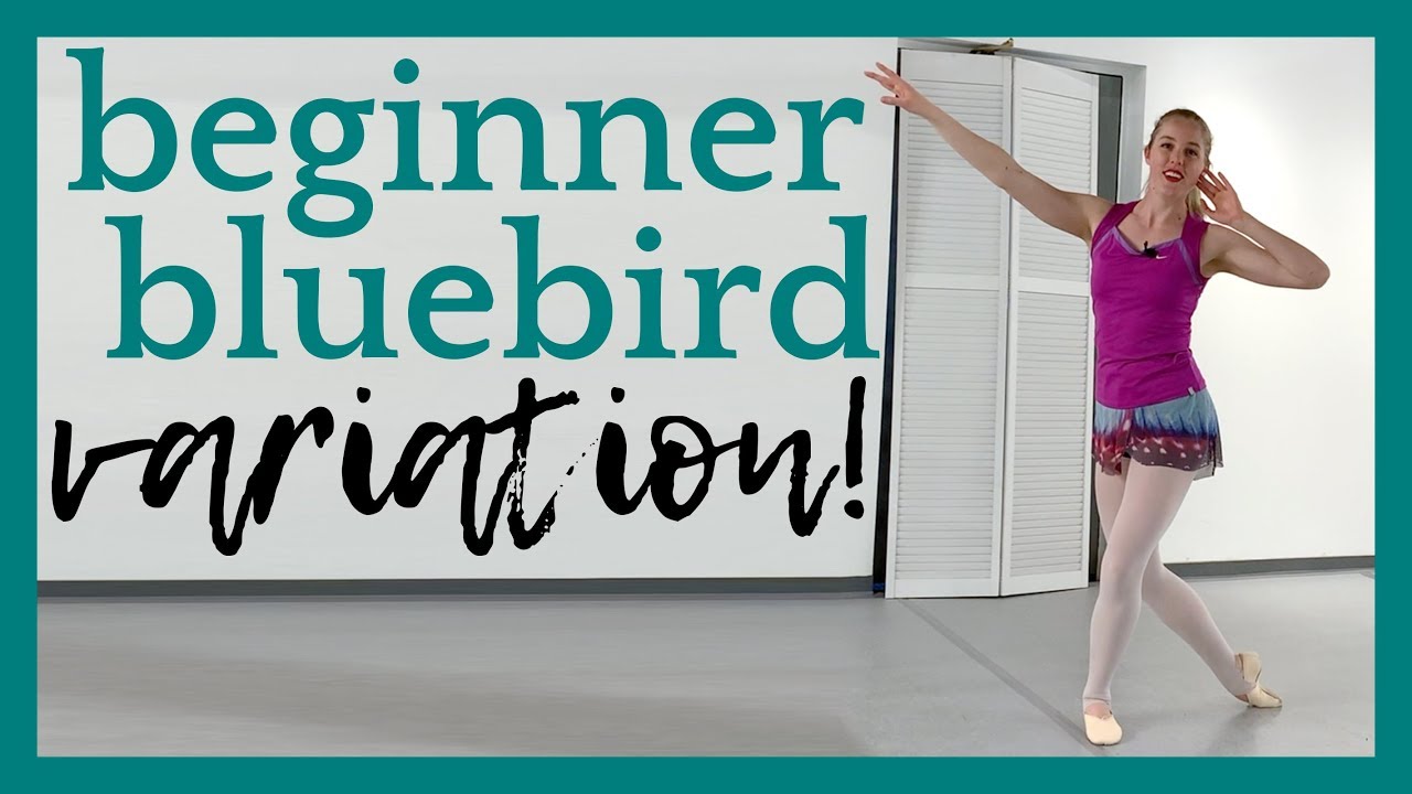 Beginner Bluebird Variation! | Broche Ballet