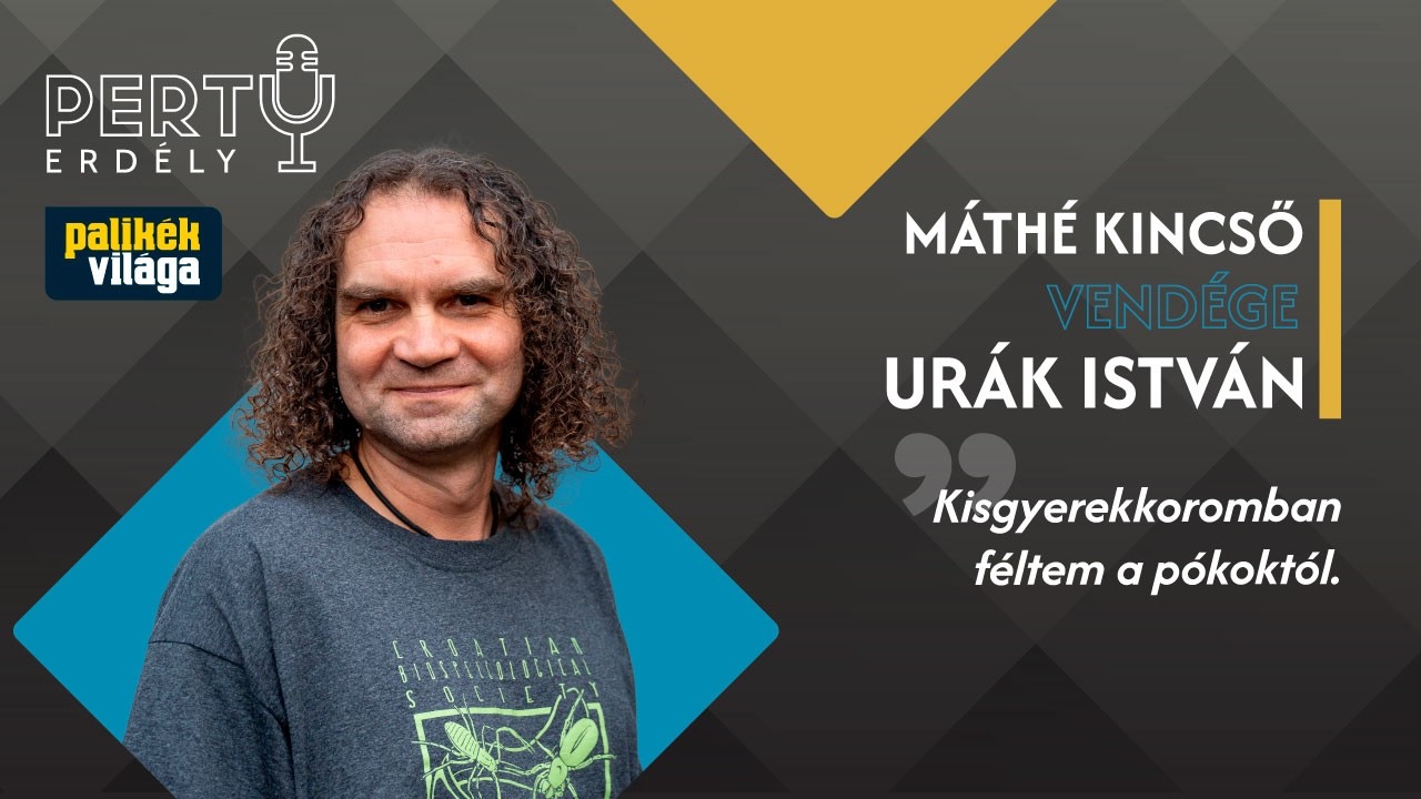 Kisgyerekkoromban féltem a pókoktól - Urák István / PERTU 143. rész