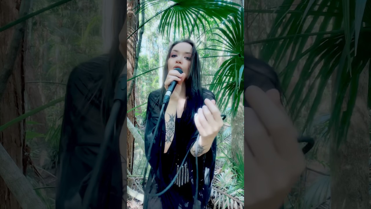 Whiteout, live in the Queensland rainforest with the cicada choir 