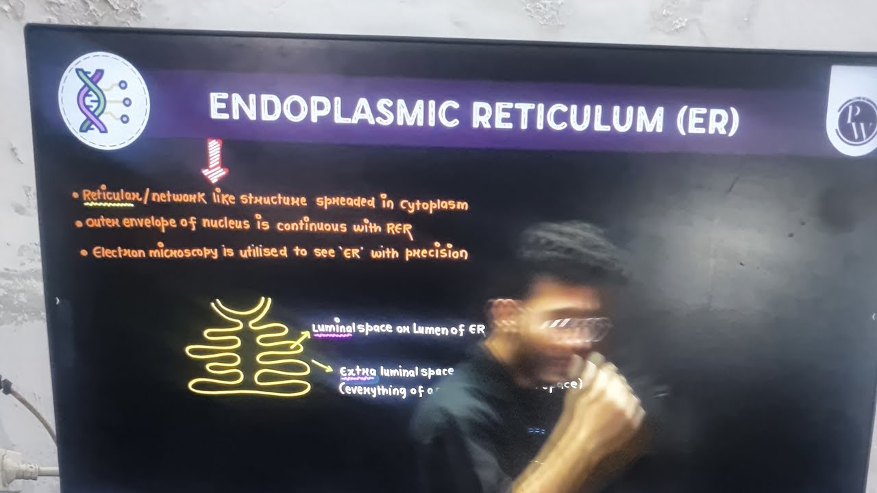 Ummeed 2026 🔥 NEET 2026 Biology Complete in 10 Days | Day 1 | Study With Me | #NEET2026 #Ummeed2026