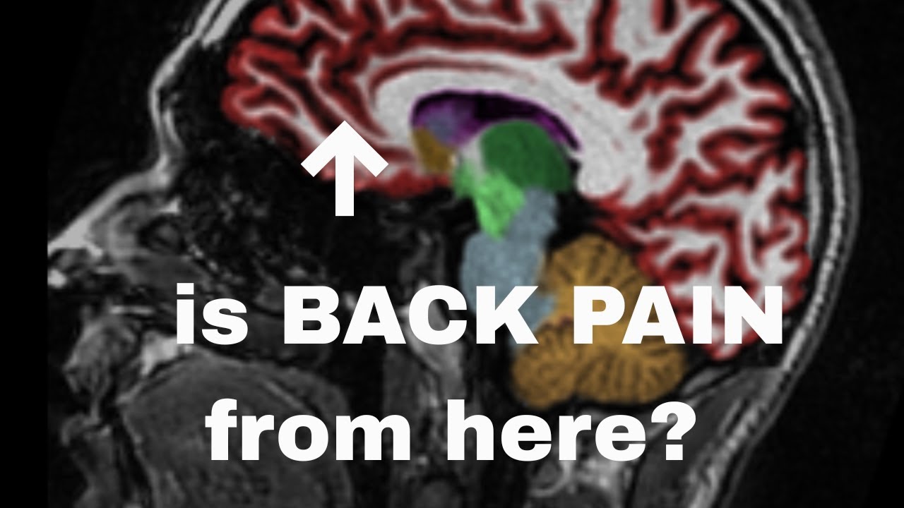 Is Back Pain 