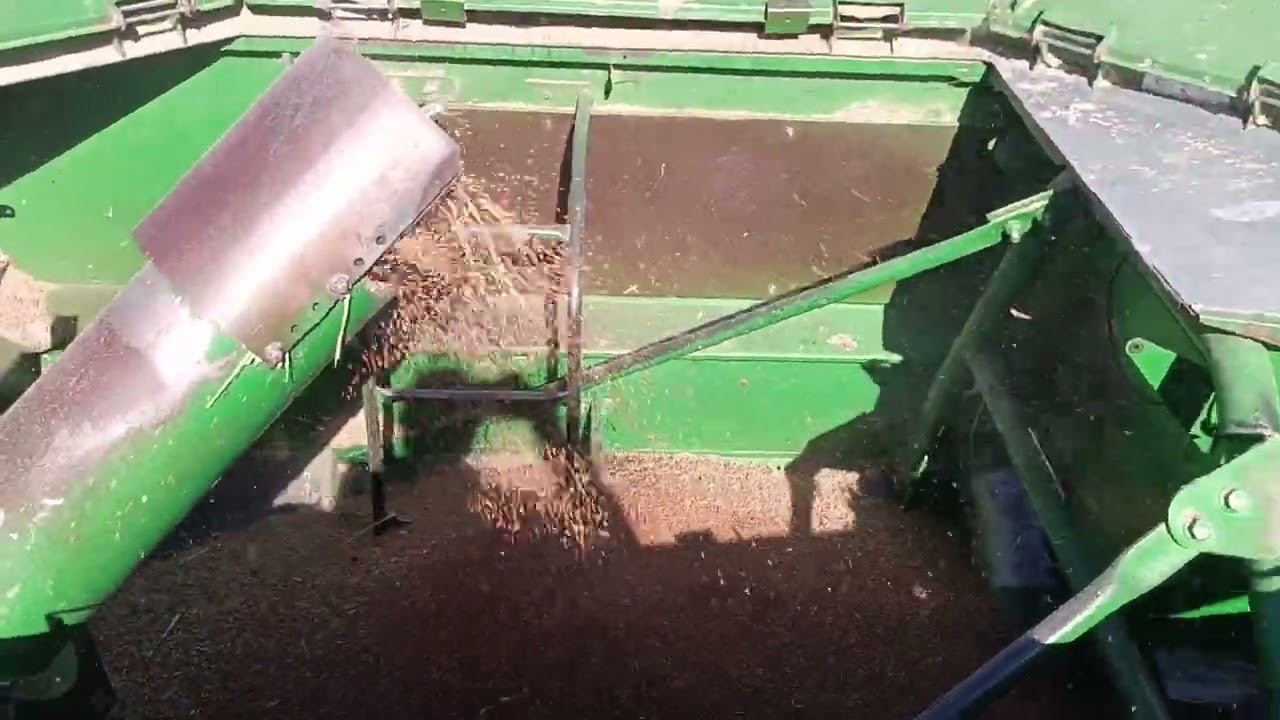 Cosecha y carga de sorgo 
