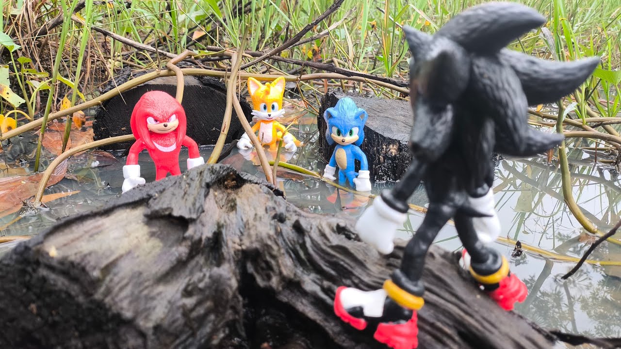 Sonic Hedgehog, Sonic Shadow, Knuckles, Tails, Metal Sonic, Super Sonic, Metal Sonic, Super Shadow