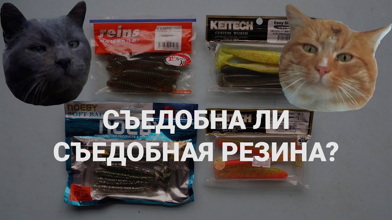 Тест съедобной резины (Keitech, Reins, Noeby) - проверка на кошках.