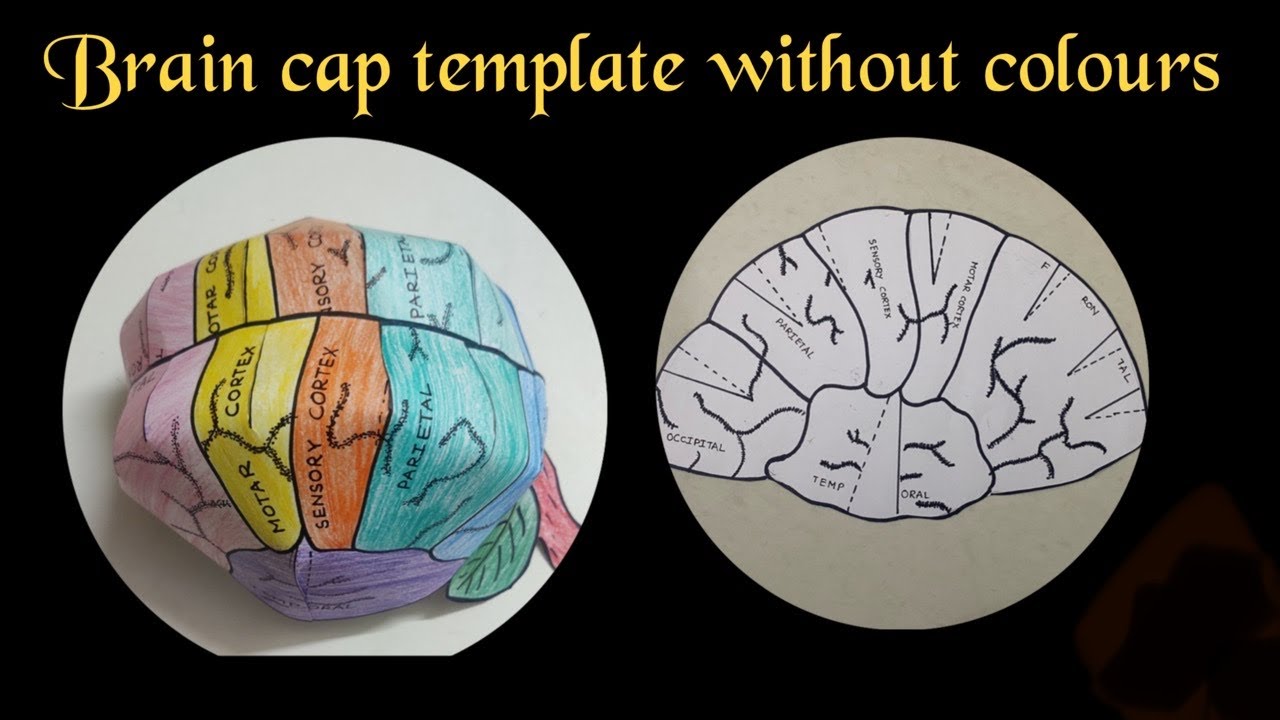 Brain cap template / How to make 3d brain cap #crafts