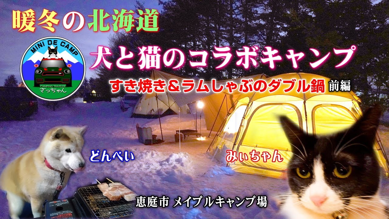 北海道雪中キャンプ！ドームテントのNORTENTとTOMOUNT で犬と猫のコラボキャンプ【前編】KZMビバドームシェルター専用マットをEGG-DOMEに敷く！