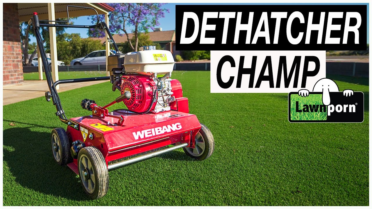 Weibang Dethatcher Review. It is a CHAMP!!!