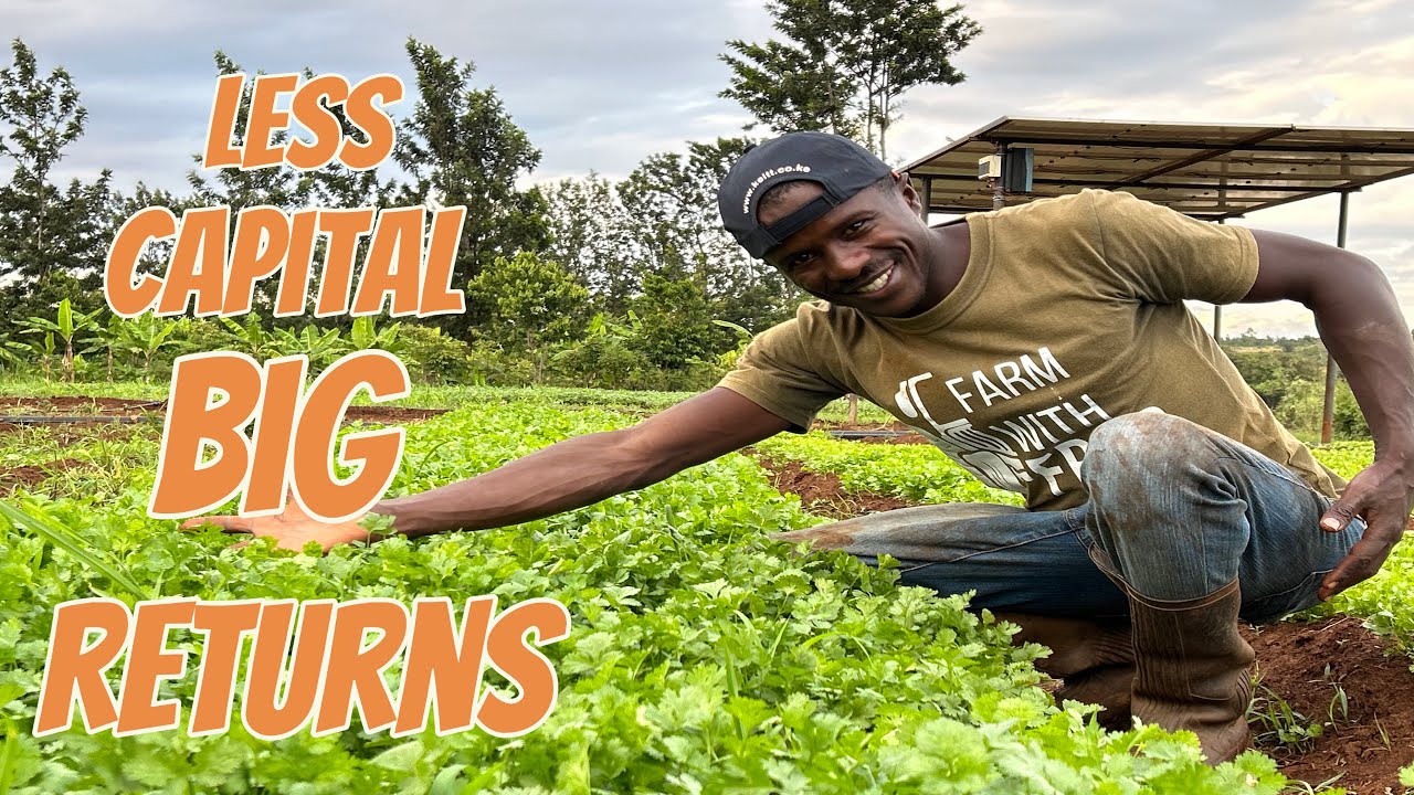 A crop that needs less capital investment and has good returns in less than 30 days #garden