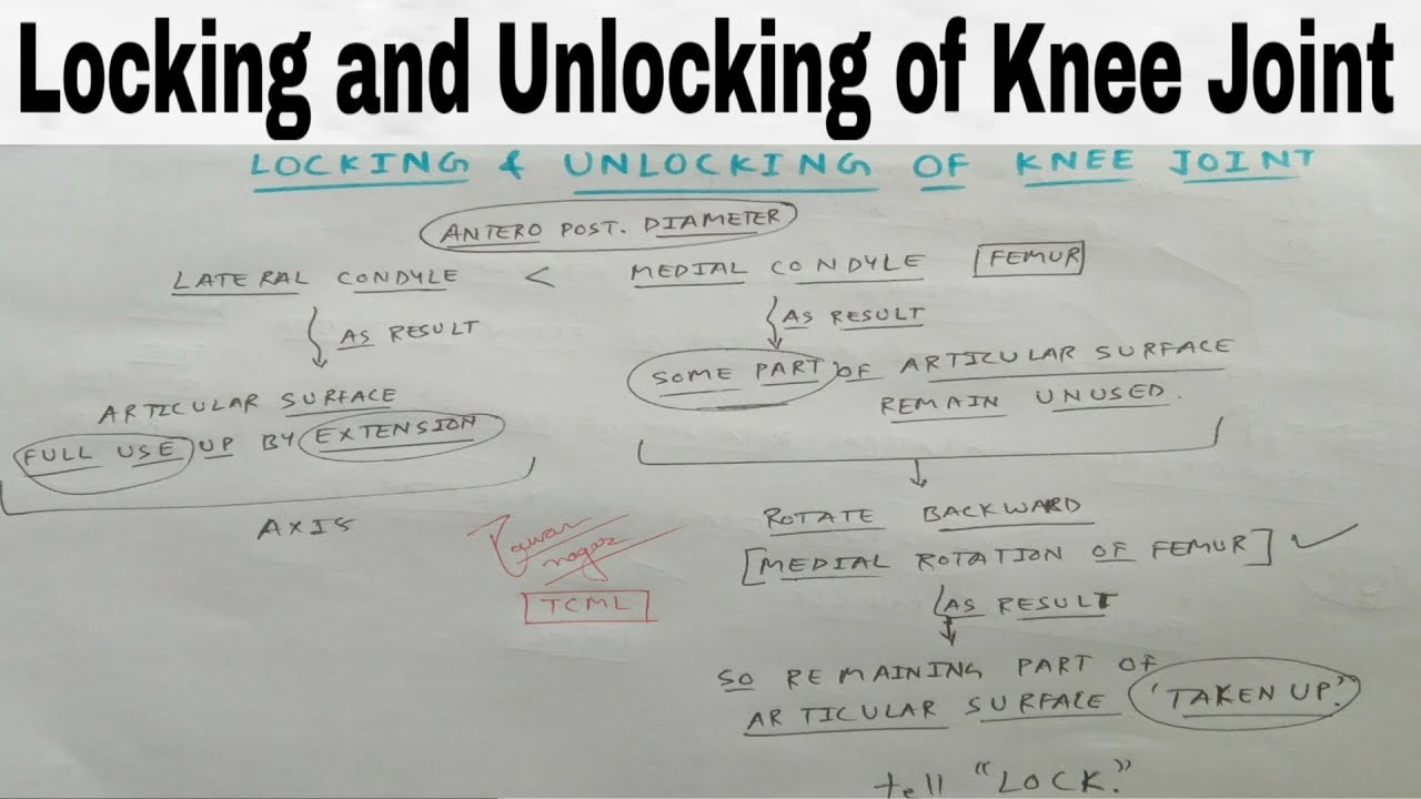 Locking and Unlocking of Knee Joint - 1 | Lower Limb Anatomy | TCML