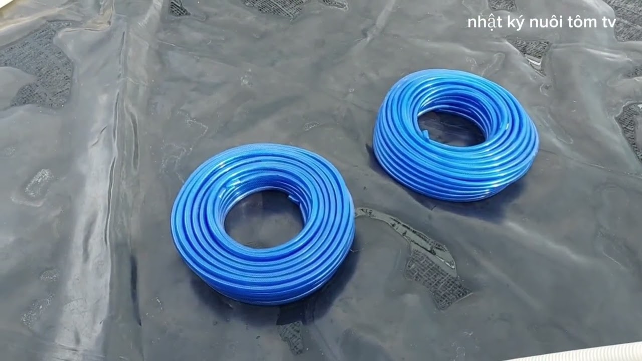 Chuẩn bị ao dèo cho vụ mới, 
