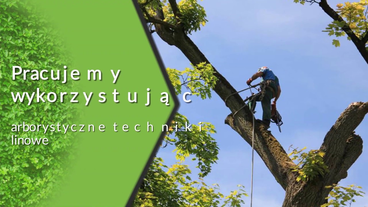 Pielęgnacja drzew - inwentaryzacje zieleni - Krzysztof Podmokły GREEN NORD