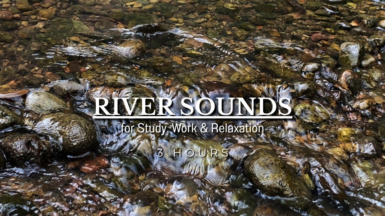 River Sounds with Birds for Sleeping, Gentle Forest Ambience to Help You Relax and Fall Asleep