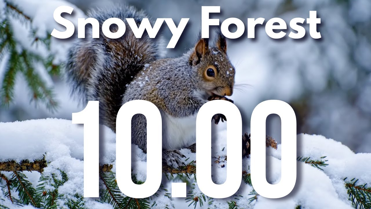 10 Minute Peaceful Timer with Falling Snow & Forest Ambience