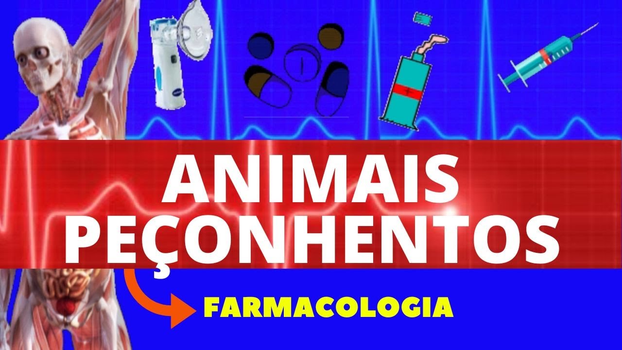 PICADA DE COBRA E ARANHAS (ACIDENTES COM ANIMAIS PEÇONHENTOS)- O QUE ACONTECE? ANTIOFÍDICO E SOLUÇÃO