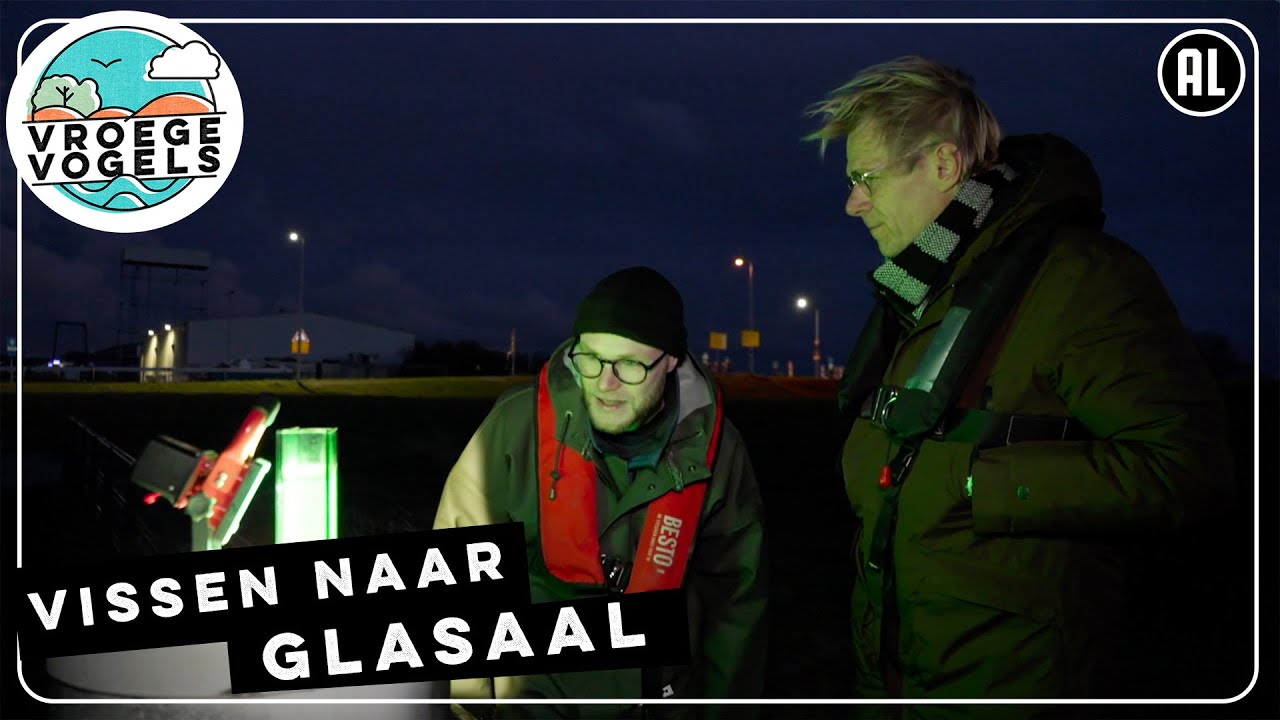Monitoren van glasaal bij de Haringvlietdam | TV | Vroege Vogels