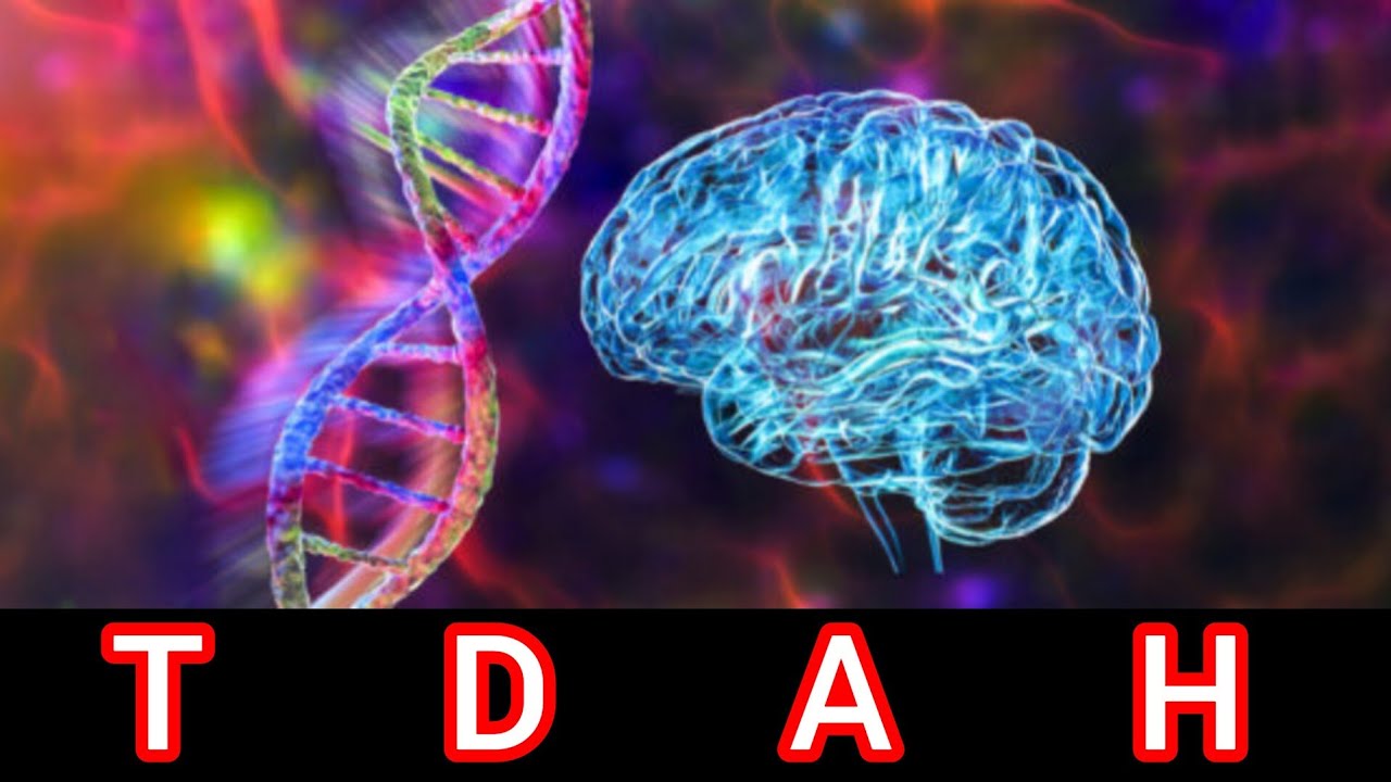 O TDAH PODE SER CAUSADO POR MUDAN&Ccedil;A EM UM &Uacute;NICO GENE, AFIRMA ESTUDO