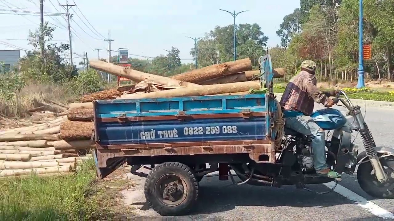 Mua bán gỗ xà cừ tràm bông vàng gỗ bao bì củi . cần LH @962.71.71.60.zalo anh ba lúp miền tây.