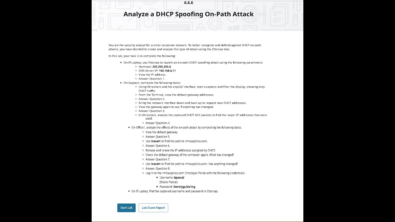 6.6.6 Analyze a DHCP Spoofing On-Path Attack