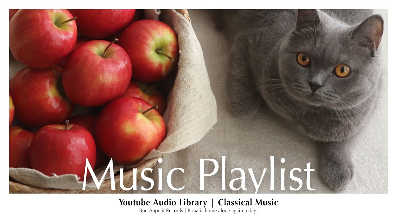 【Playlist】Classical Music Playlist | Autumn 2025