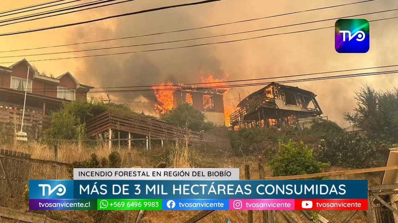 Incendio Forestal en el Gran Concepción ha consumido más de tres mil hectáreas, y se mantiene activo