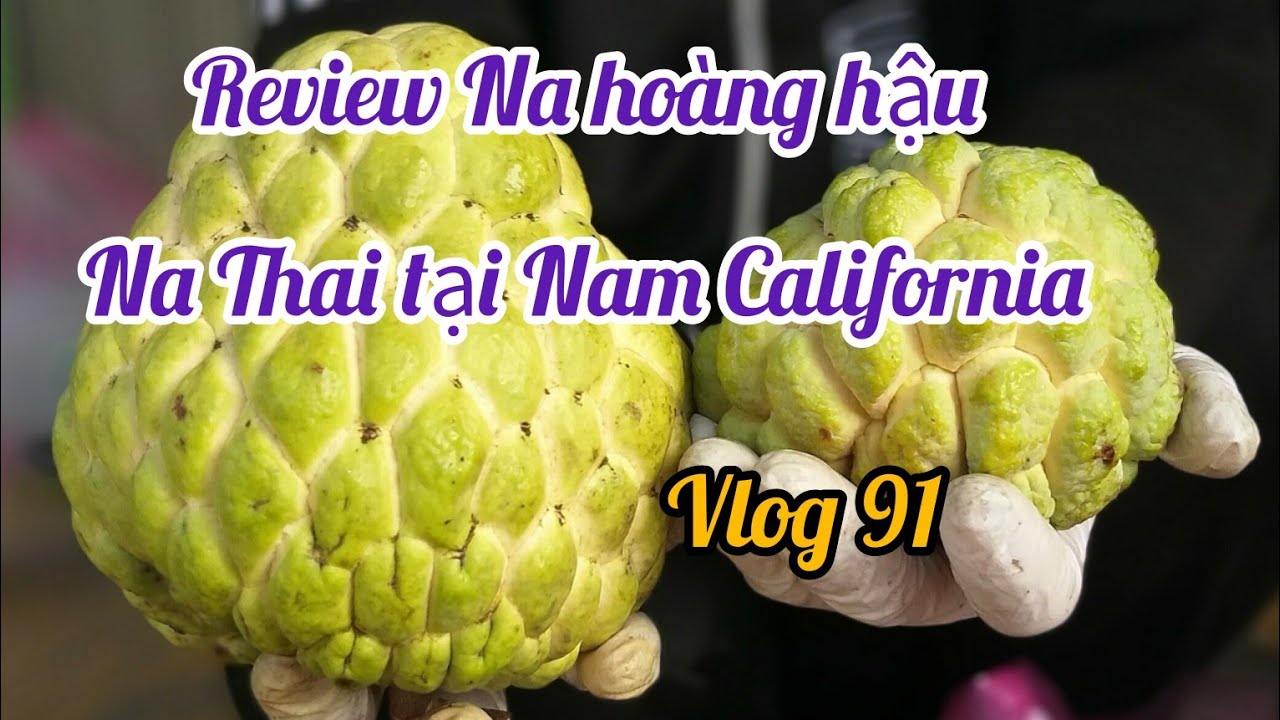Sự thật về na hoàng hậu, na Thái