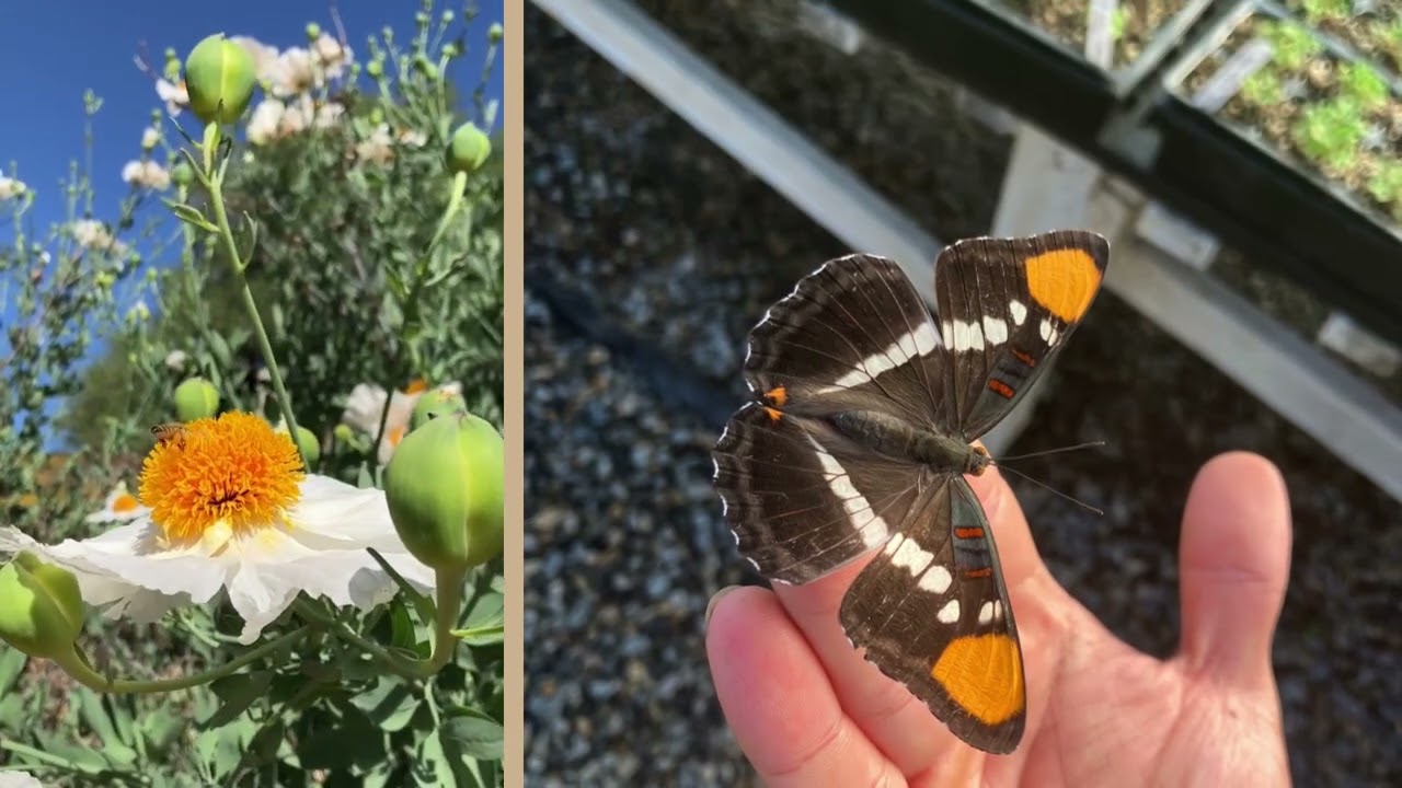 We are Intermountain Nursery