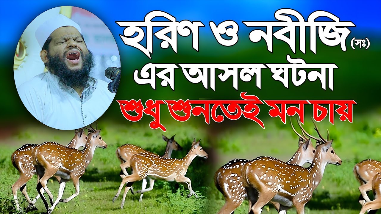 হরিণ ও নবীজির আসল ঘটনা শুধু শুনতে মন চায়। কারী সাইদুল ইসলাম আসাদ বাংলা ওয়াজ ২০২৪ Bangla waz